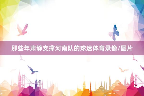 那些年肃静支撑河南队的球迷体育录像/图片