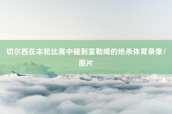 切尔西在本轮比赛中碰到富勒姆的绝杀体育录像/图片
