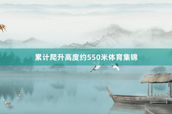 累计爬升高度约550米体育集锦