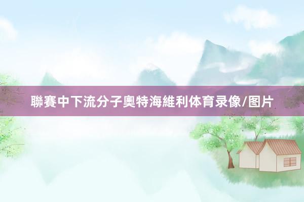 聯賽中下流分子奧特海維利体育录像/图片