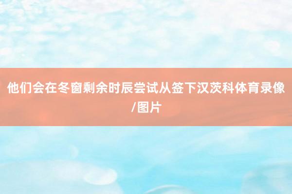 他们会在冬窗剩余时辰尝试从签下汉茨科体育录像/图片