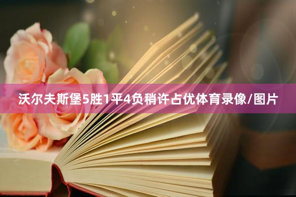 沃尔夫斯堡5胜1平4负稍许占优体育录像/图片