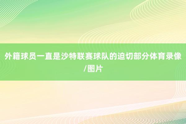 外籍球员一直是沙特联赛球队的迫切部分体育录像/图片