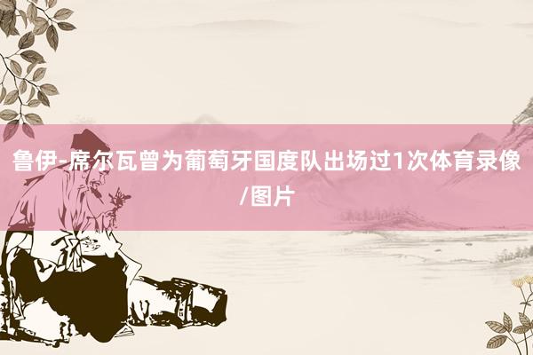 鲁伊-席尔瓦曾为葡萄牙国度队出场过1次体育录像/图片