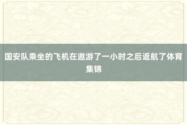 国安队乘坐的飞机在遨游了一小时之后返航了体育集锦