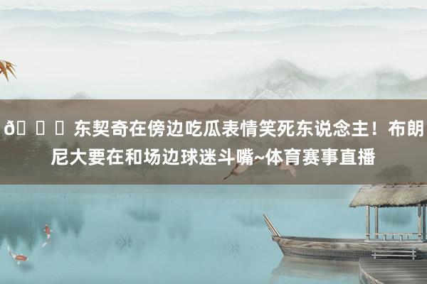 😂东契奇在傍边吃瓜表情笑死东说念主!布朗尼大要在和场边球迷斗嘴~体育赛事直播