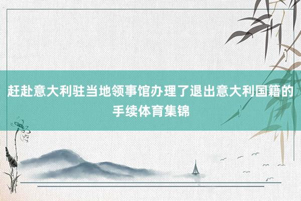赶赴意大利驻当地领事馆办理了退出意大利国籍的手续体育集锦