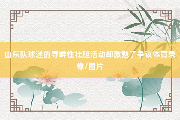 山东队球迷的寻衅性壮胆活动却激勉了争议体育录像/图片