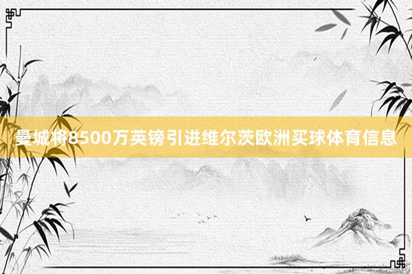 曼城将8500万英镑引进维尔茨欧洲买球体育信息