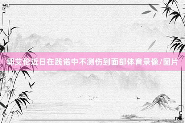 郭艾伦近日在践诺中不测伤到面部体育录像/图片