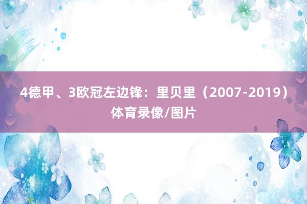 4德甲、3欧冠左边锋：里贝里（2007-2019）体育录像/图片