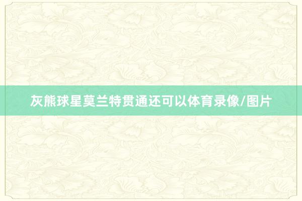 灰熊球星莫兰特贯通还可以体育录像/图片