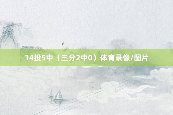 14投5中（三分2中0）体育录像/图片