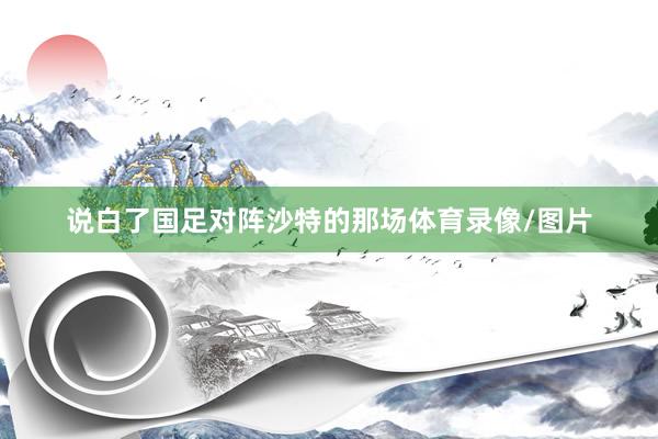 说白了国足对阵沙特的那场体育录像/图片