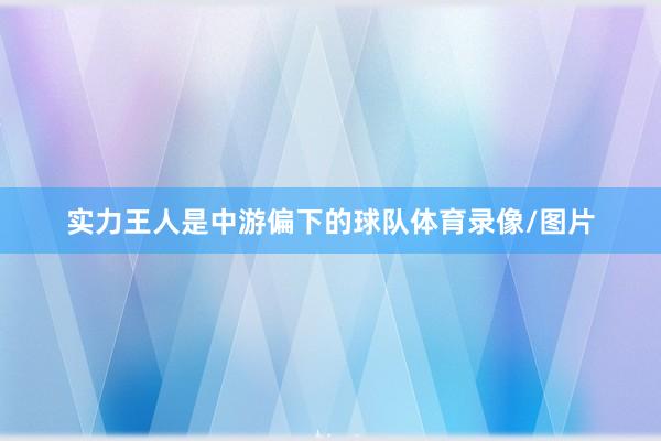 实力王人是中游偏下的球队体育录像/图片