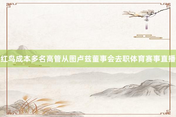 红鸟成本多名高管从图卢兹董事会去职体育赛事直播