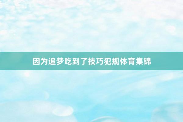 因为追梦吃到了技巧犯规体育集锦