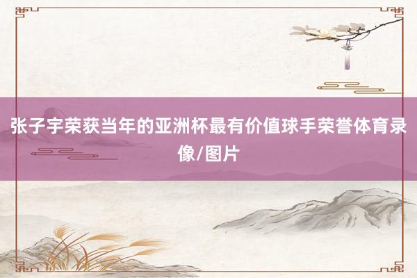 张子宇荣获当年的亚洲杯最有价值球手荣誉体育录像/图片