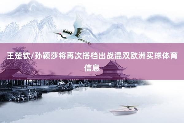 王楚钦/孙颖莎将再次搭档出战混双欧洲买球体育信息