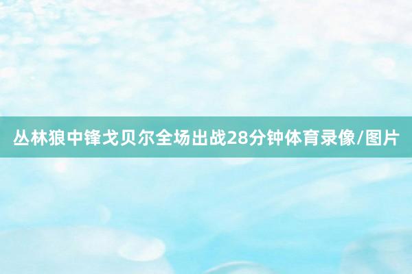 丛林狼中锋戈贝尔全场出战28分钟体育录像/图片