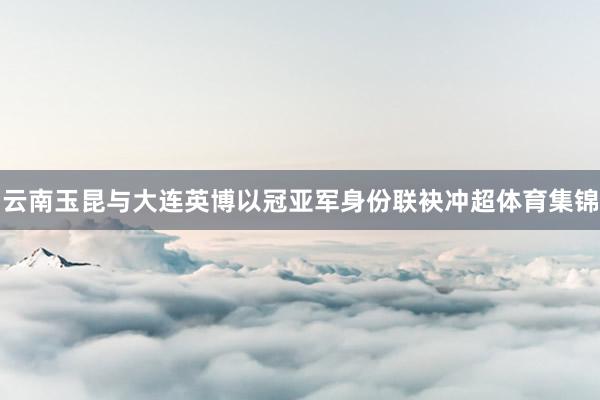 云南玉昆与大连英博以冠亚军身份联袂冲超体育集锦