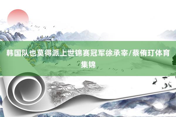 韩国队也莫得派上世锦赛冠军徐承宰/蔡侑玎体育集锦