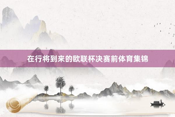 在行将到来的欧联杯决赛前体育集锦