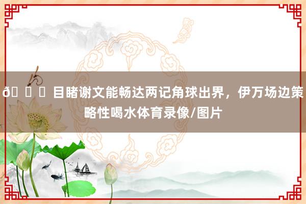 😅目睹谢文能畅达两记角球出界，伊万场边策略性喝水体育录像/图片