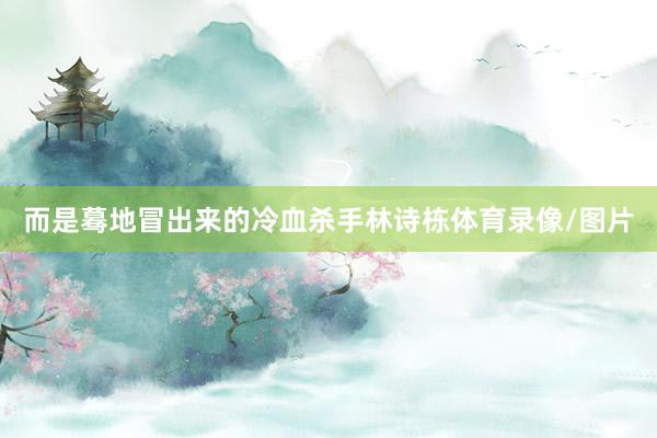 而是蓦地冒出来的冷血杀手林诗栋体育录像/图片