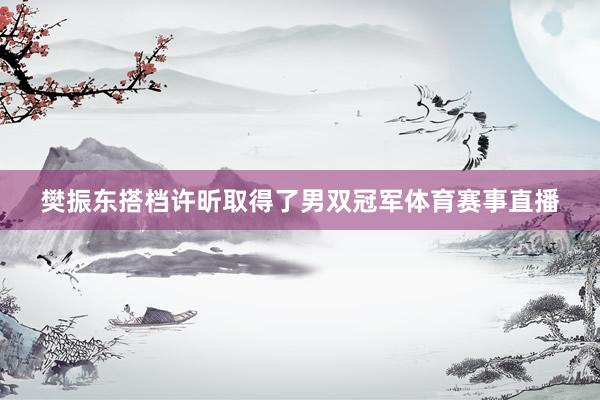 樊振东搭档许昕取得了男双冠军体育赛事直播