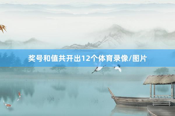 奖号和值共开出12个体育录像/图片