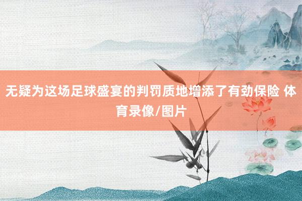无疑为这场足球盛宴的判罚质地增添了有劲保险 体育录像/图片