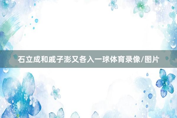 石立成和戚子澎又各入一球体育录像/图片