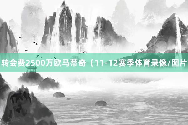 转会费2500万欧马蒂奇（11-12赛季体育录像/图片