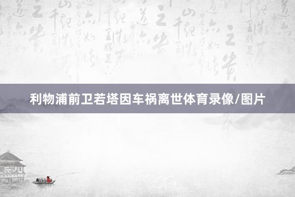 利物浦前卫若塔因车祸离世体育录像/图片