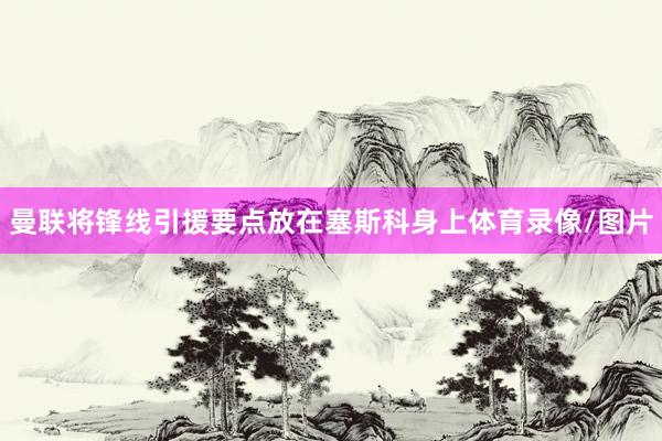 曼联将锋线引援要点放在塞斯科身上体育录像/图片