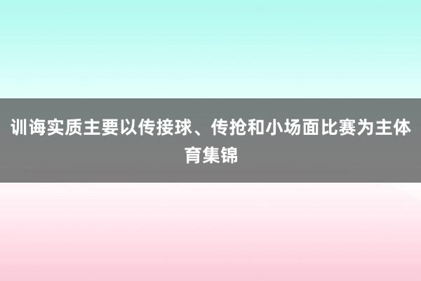 训诲实质主要以传接球、传抢和小场面比赛为主体育集锦