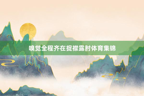 嗅觉全程齐在捉襟露肘体育集锦