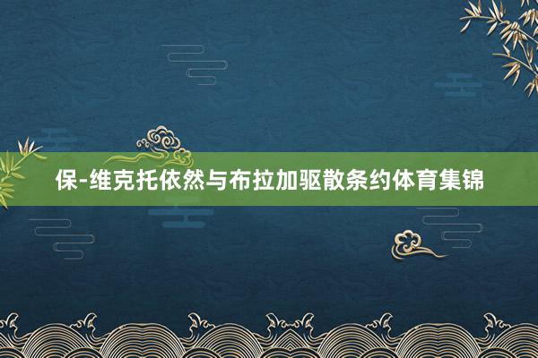 保-维克托依然与布拉加驱散条约体育集锦