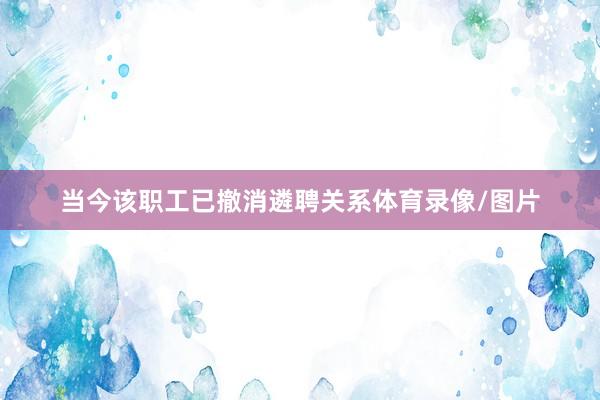 当今该职工已撤消遴聘关系体育录像/图片