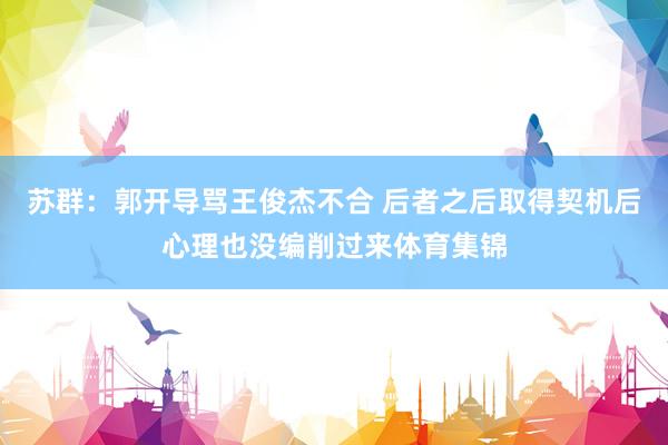 苏群：郭开导骂王俊杰不合 后者之后取得契机后心理也没编削过来体育集锦