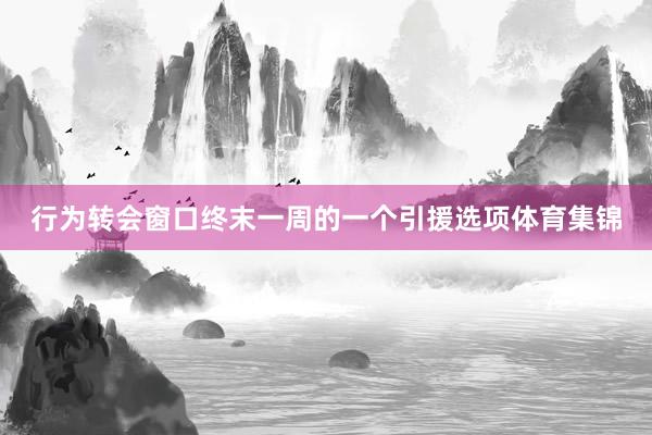 行为转会窗口终末一周的一个引援选项体育集锦