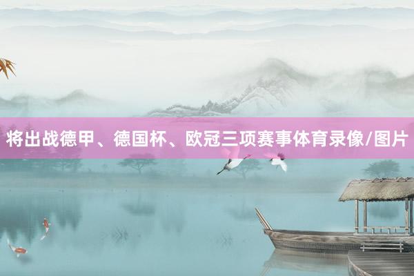 将出战德甲、德国杯、欧冠三项赛事体育录像/图片